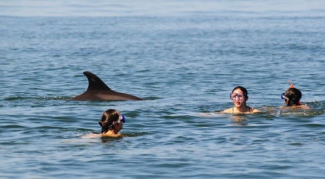 Interaccion con delfines